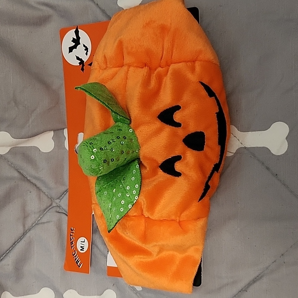 Halloween Pumpkin Pet Hat